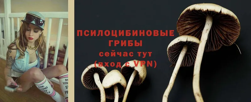 Псилоцибиновые грибы Magic Shrooms  Алапаевск 